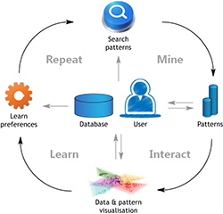 Mine, Interact, Learn, Repeat